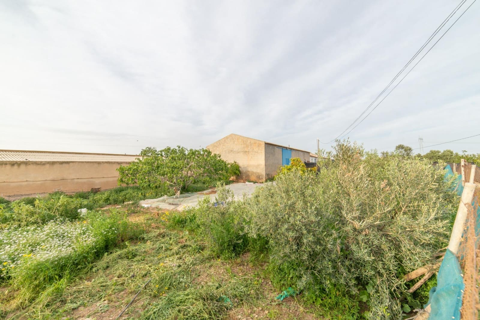 3 makuuhuone Maalaistalo myytävänä paikassa Balsicas mukana 
autotalli - 229 000 € (Ref: 9758917)