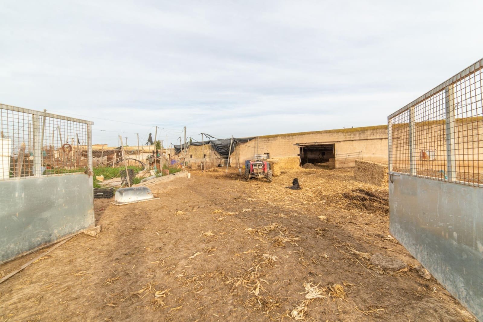 3 makuuhuone Maalaistalo myytävänä paikassa Balsicas mukana 
autotalli - 229 000 € (Ref: 9758917)