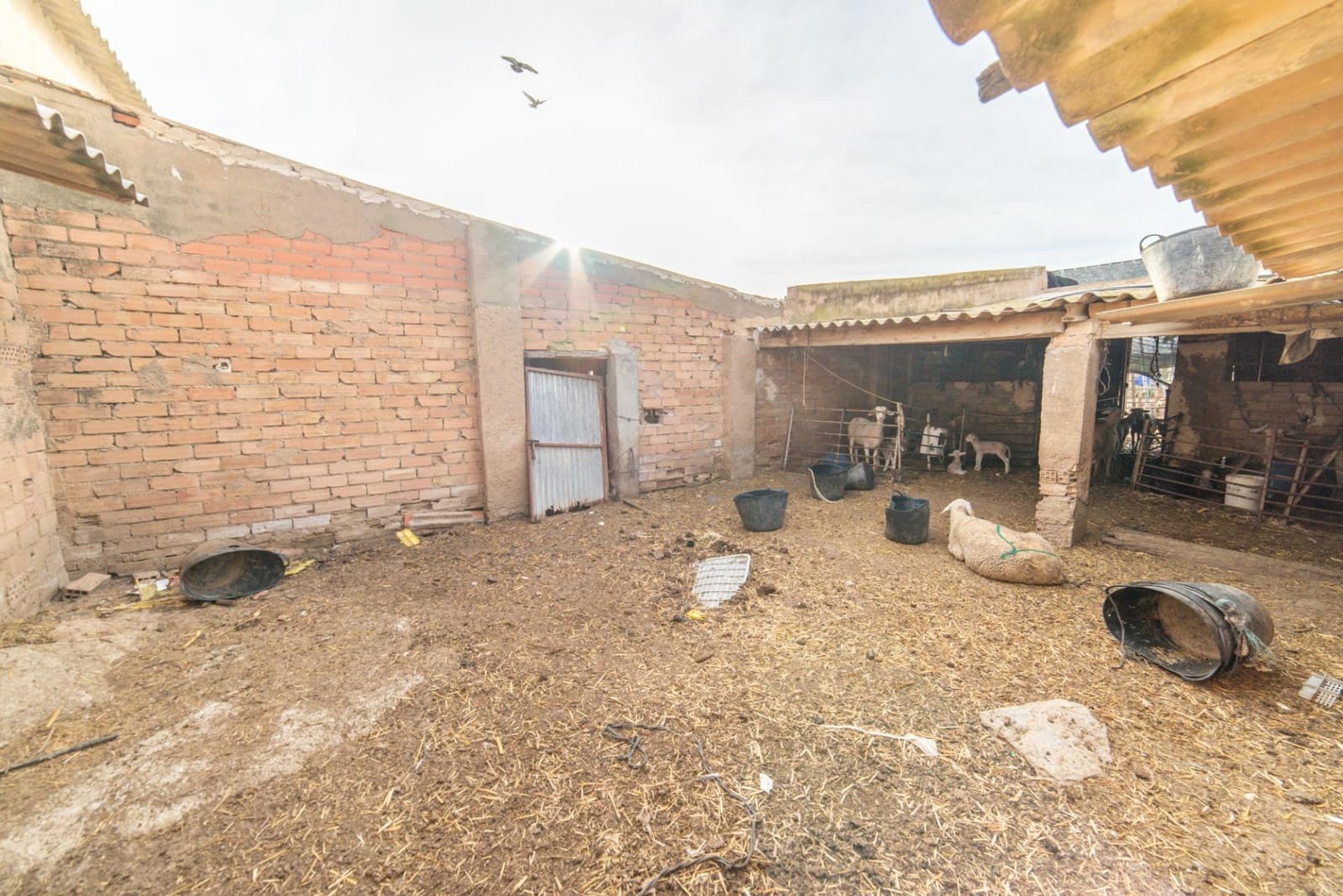 3 makuuhuone Maalaistalo myytävänä paikassa Balsicas mukana 
autotalli - 229 000 € (Ref: 9758917)