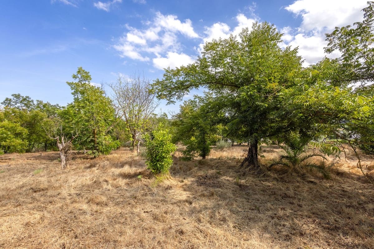 Finca/Casa Rural de 3 habitaciones en Coín en venta con piscina - 325.000 € (Ref: 10130686)