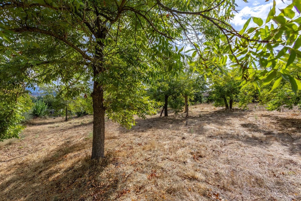 Finca/Casa Rural de 3 habitaciones en Coín en venta con piscina - 325.000 € (Ref: 10130686)