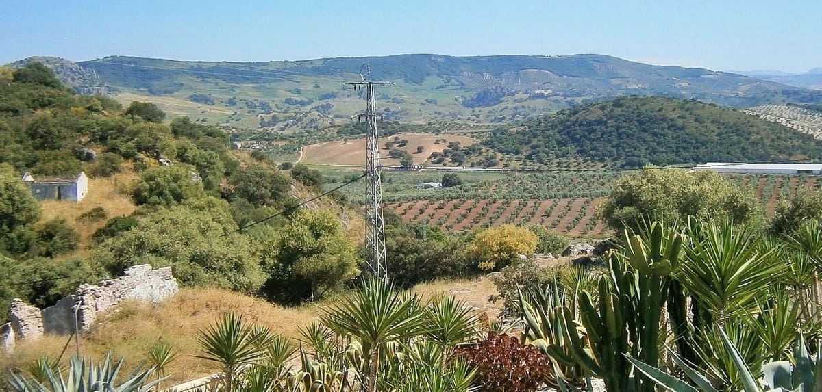 10 Zimmer Finca/Landgut zu verkaufen in Ronda mit Pool - 1.500.000 € (Ref: 8835834)