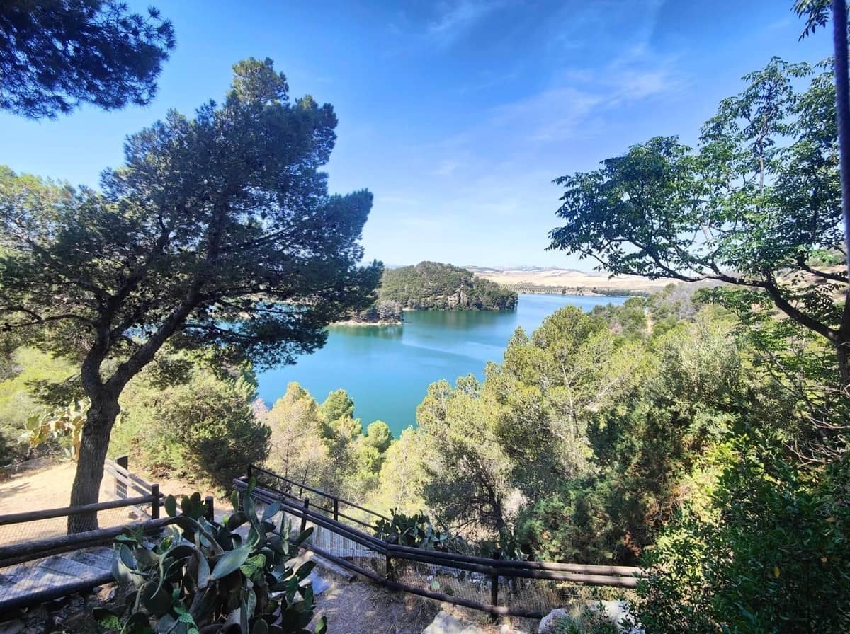 Mark till salu i Ardales - 700 000 € (Ref: 9074223)