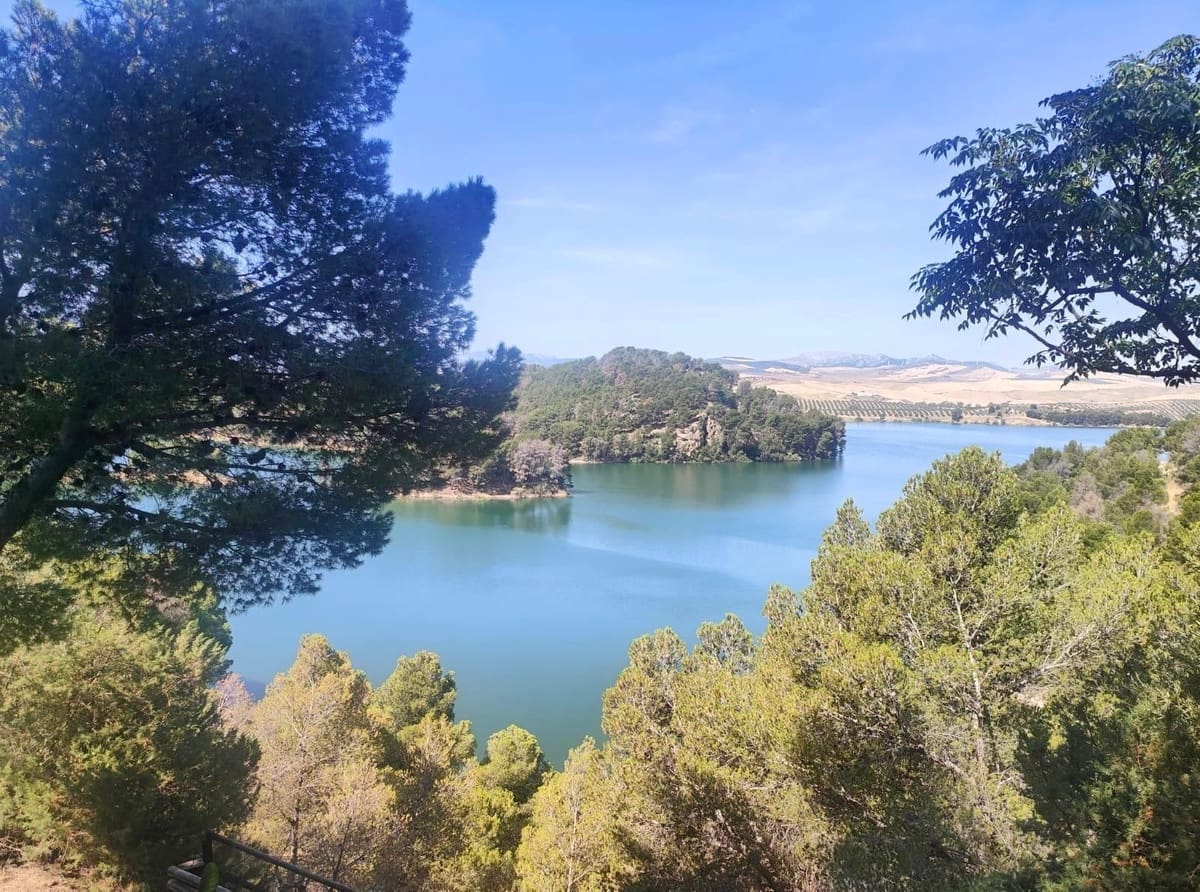 Ubebygd land til salgs i Ardales - € 700 000 (Ref: 9074223)