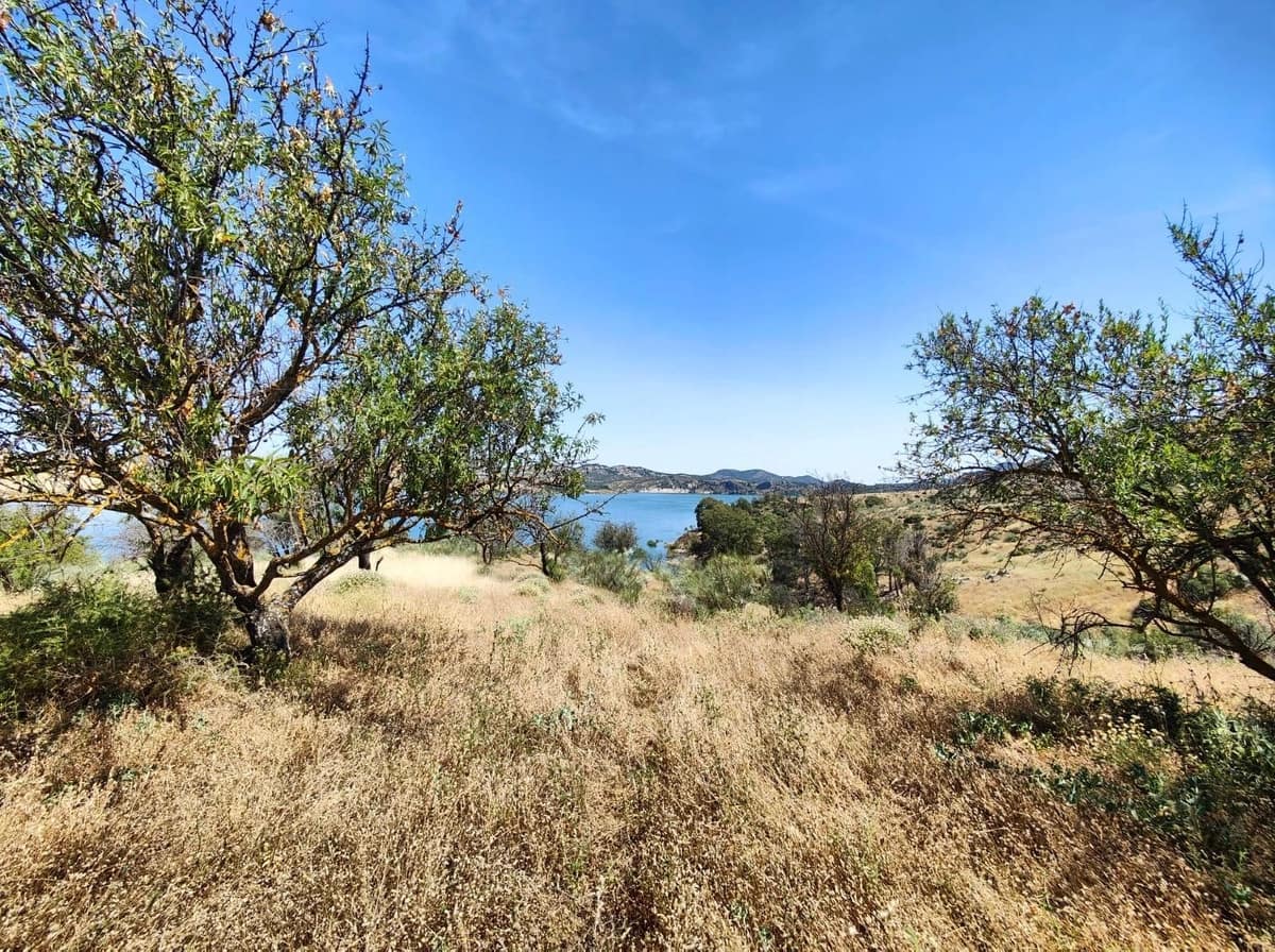 Ubebygd land til salgs i Ardales - € 700 000 (Ref: 9074223)