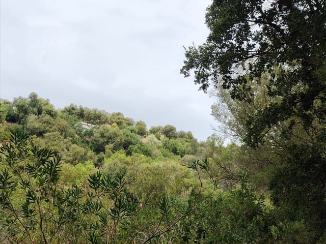 Undeveloped Land for sale in Istán - € 4,000,000 (Ref: 9349829)