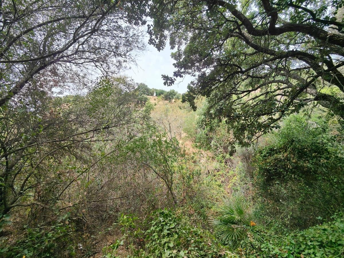 Terreno/Finca Rústica en Istán en venta - 2.000.000 € (Ref: 9349829)