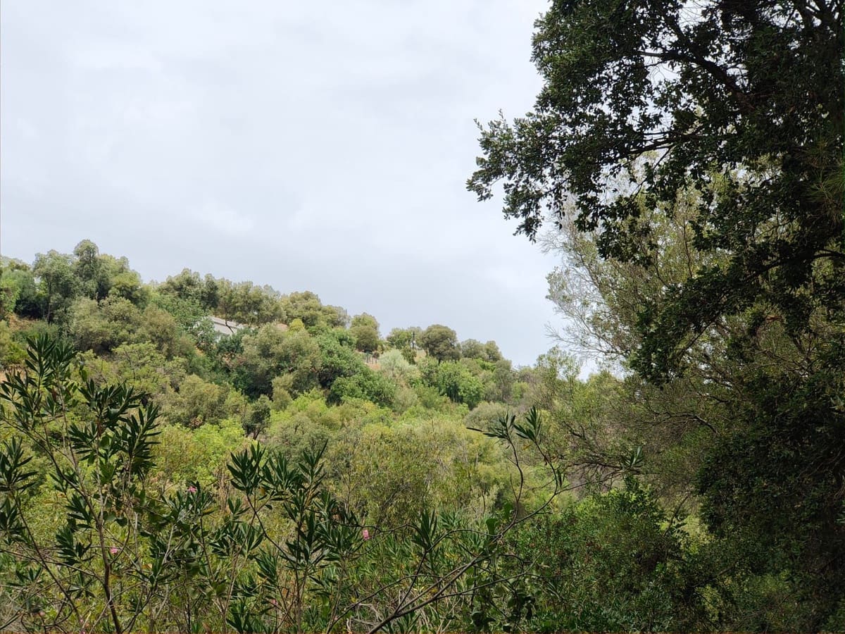 Terreno/Finca Rústica en Istán en venta - 2.000.000 € (Ref: 9349829)