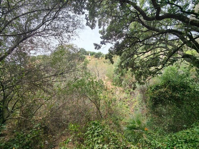 Terre non Aménagée à vendre à Istán - 2 000 000 € (Ref: 9349829)