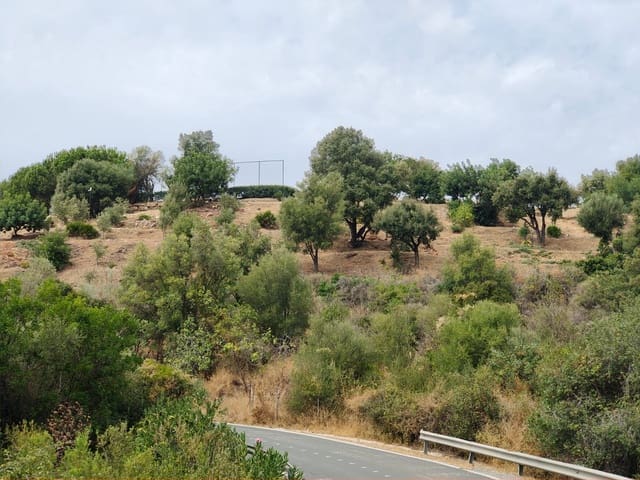 Ubebygd land til salgs i Istán - € 2 000 000 (Ref: 9349829)