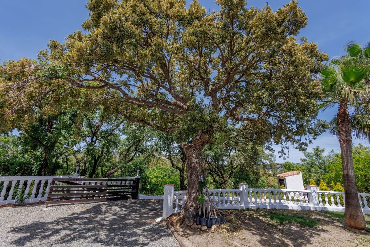 6 bedroom Villa for sale in Coin with pool garage - € 1,195,000 (Ref: 9863496)