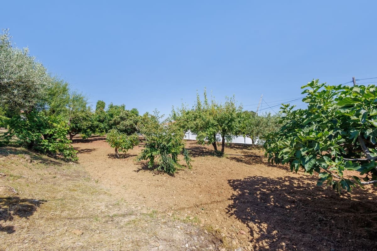 6 quarto Moradia para venda em Alhaurin el Grande com piscina garagem - 845 000 € (Ref: 9895456)