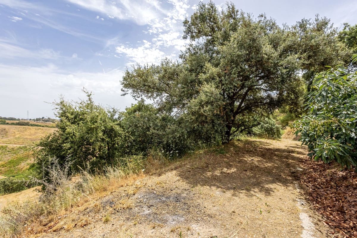 3 soverom Villa til salgs i Alhaurin el Grande med svømmebasseng - € 895 000 (Ref: 9928385)