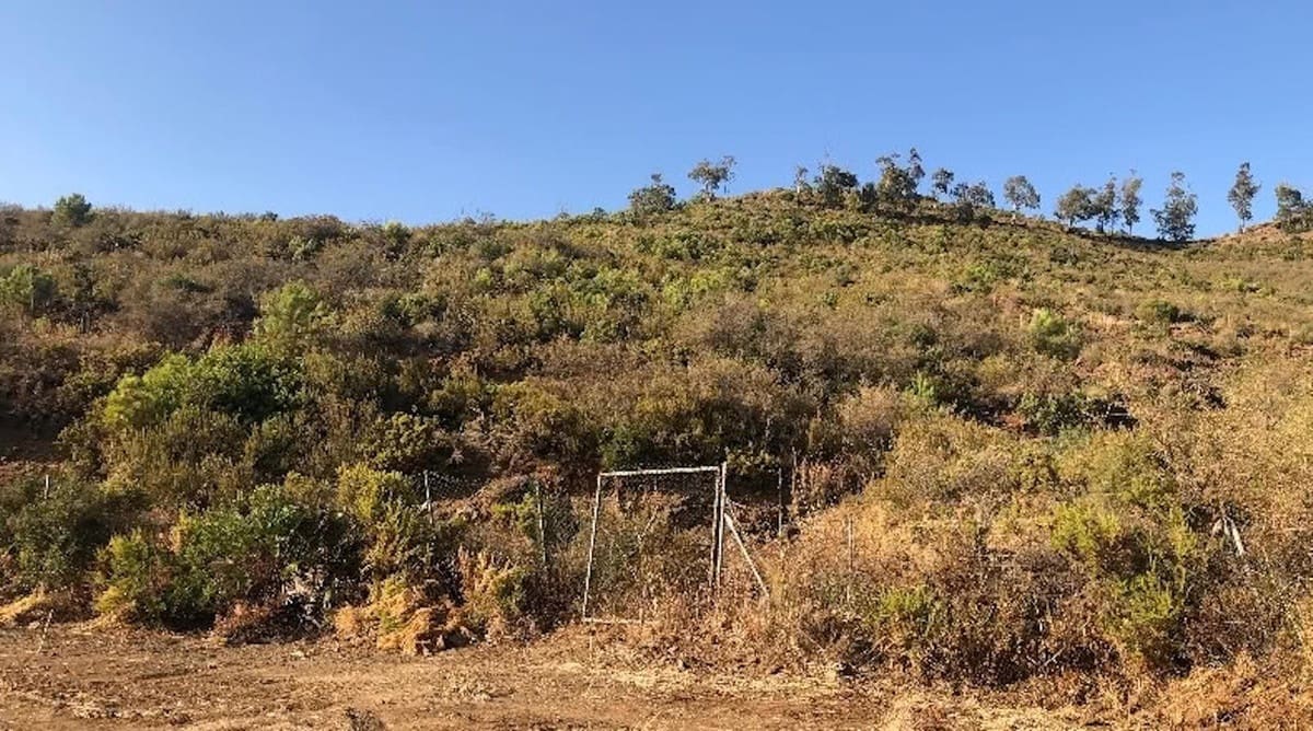 Landgrundstück zu verkaufen in Ojen - 95.500 € (Ref: 10044085)