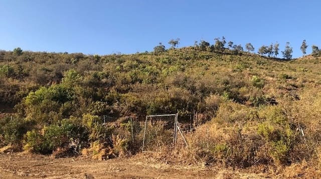 Landgrundstück zu verkaufen in Ojen - 95.500 € (Ref: 10044085)