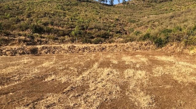 Landgrundstück zu verkaufen in Ojen - 95.500 € (Ref: 10044085)