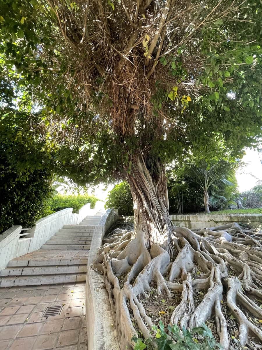 3 sovrum Lägenhet till salu i Cabopino med pool - 308 900 € (Ref: 9273067)