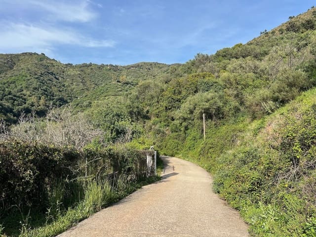 3 slaapkamer Finca/Landhuis te koop in Ojen met garage - € 480.000 (Ref: 9789565)