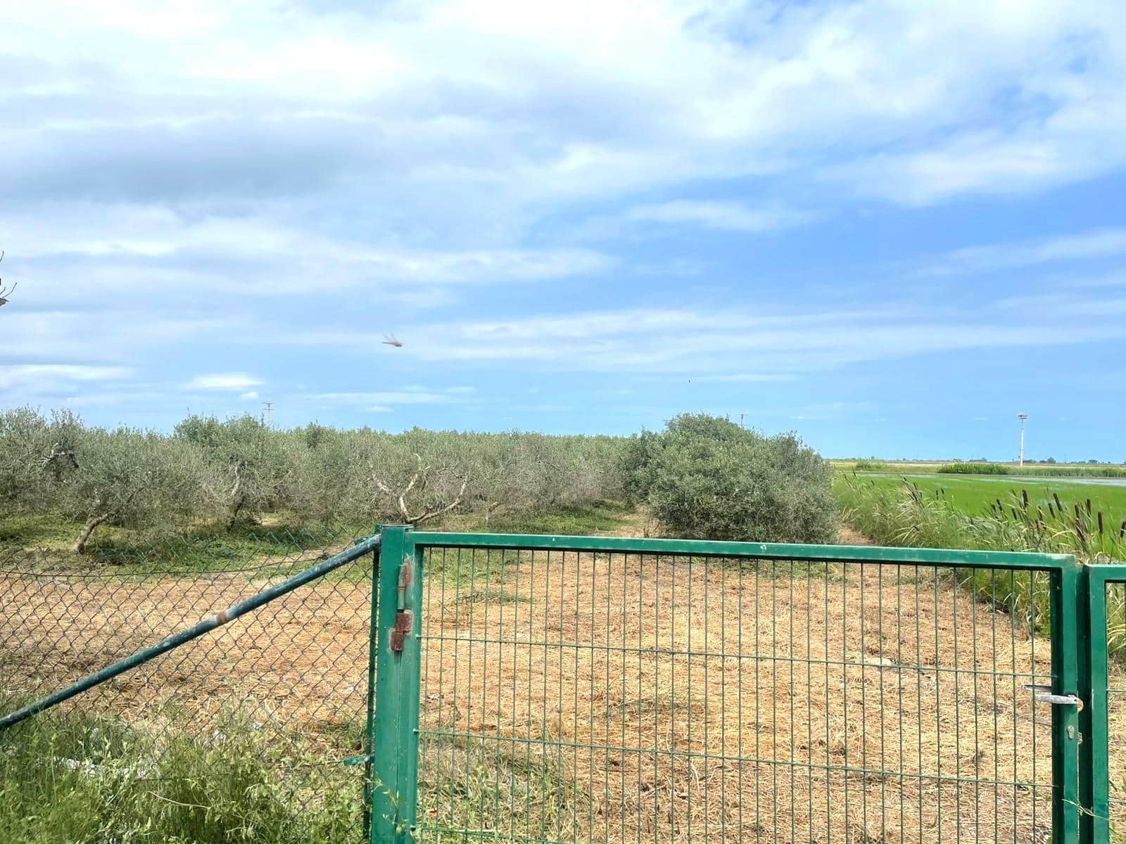 2 sovrum Finca/Hus på landet till salu i Amposta - 140 000 € (Ref: 9427931)