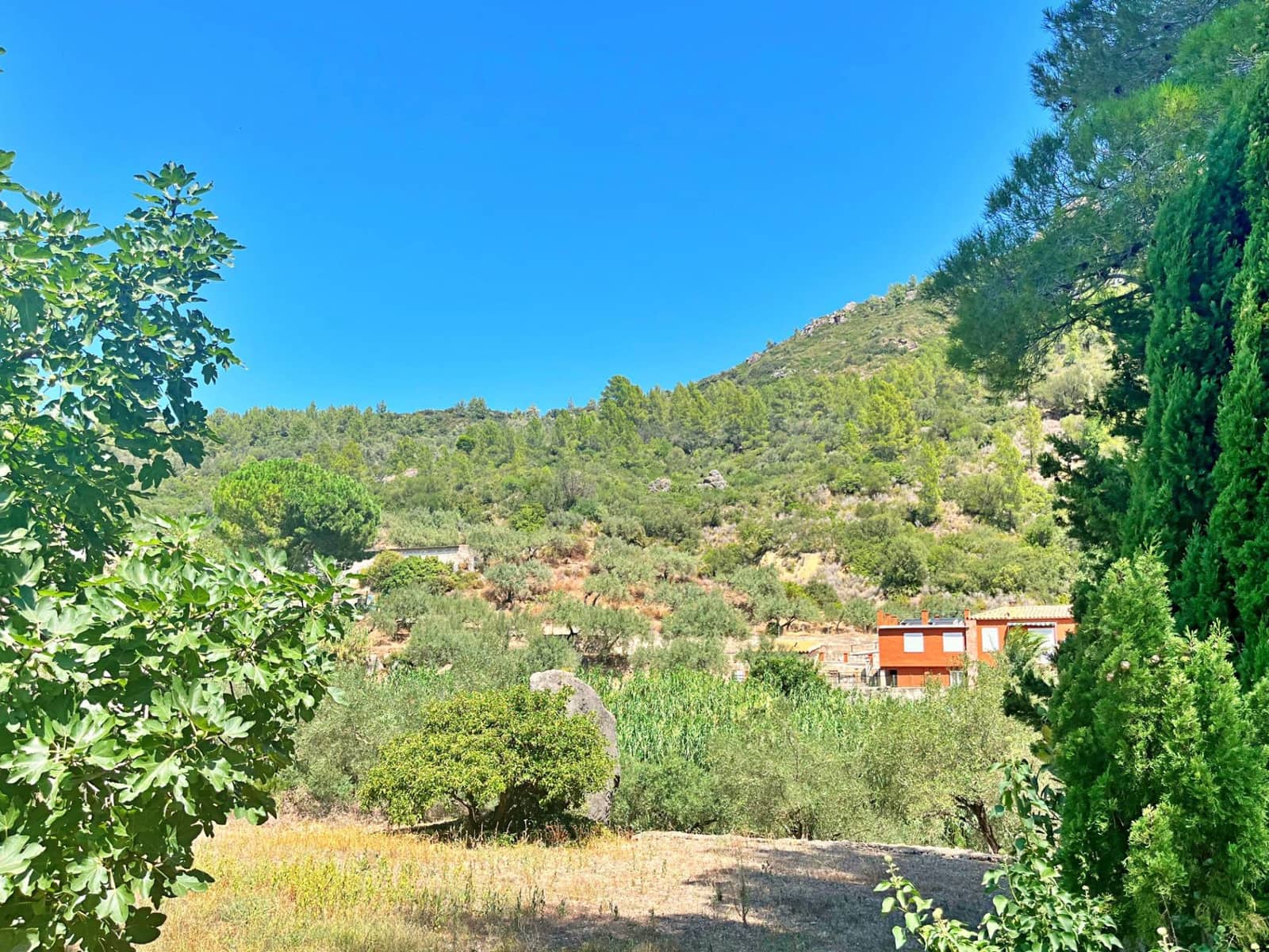 1 bedroom Villa for sale in Alfara de Carles - € 172,000 (Ref: 9427940)