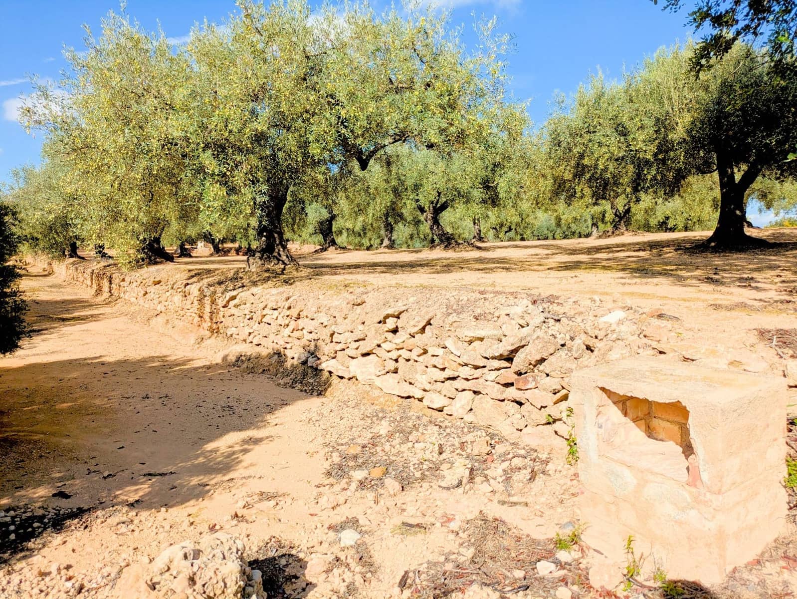 1 makuuhuone Maalaistalo myytävänä paikassa Freginals - 13 000 € (Ref: 9427961)