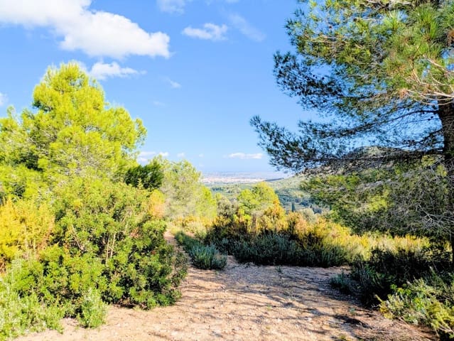 1 makuuhuone Maalaistalo myytävänä paikassa Freginals - 13 000 € (Ref: 9427961)