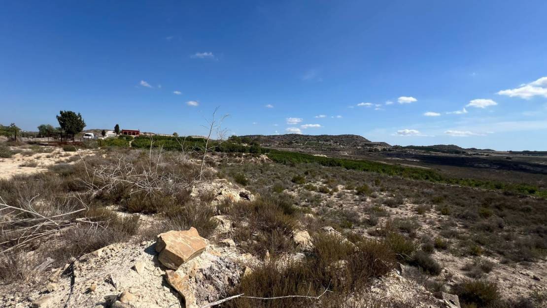 Bouwgrond te koop in Torremendo - € 290.000 (Ref: 9274134)