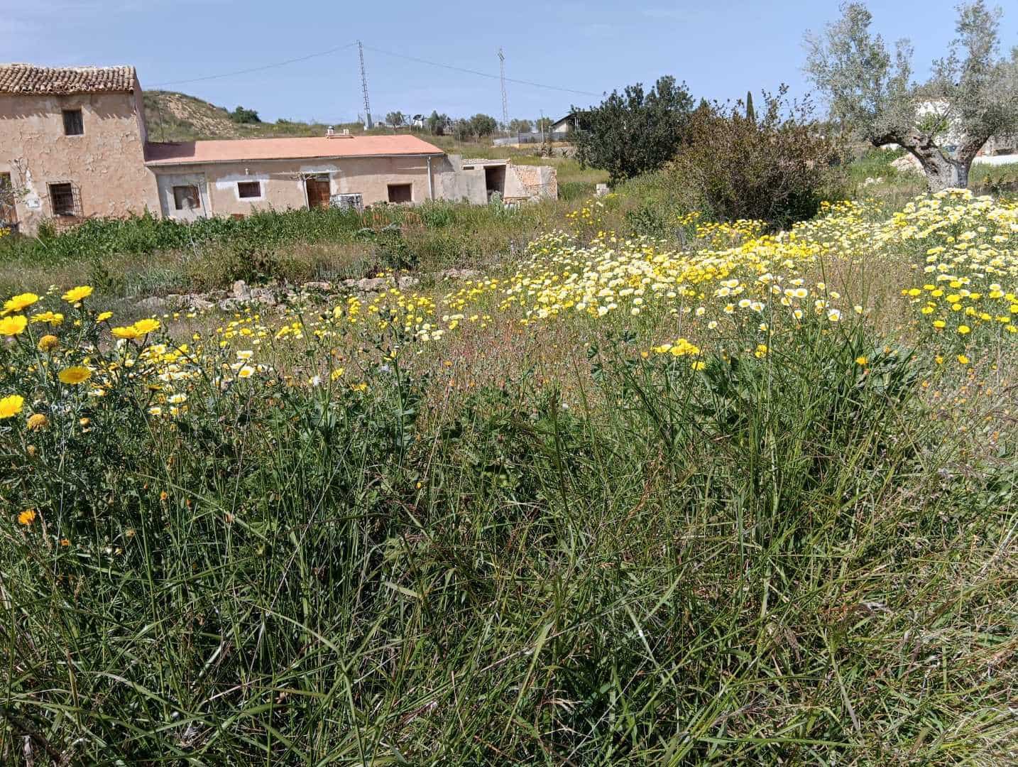 4 bedroom Finca/Country House for sale in Hondon de los Frailes - € 170,000 (Ref: 10155493)