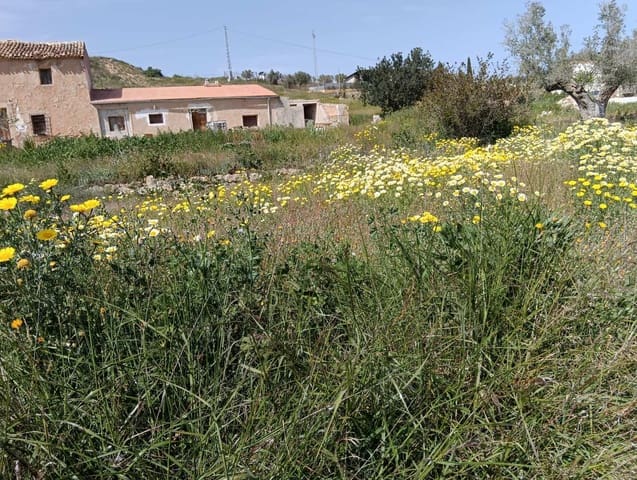 4 soveværelse Finca/Landehus til salg i Hondón de los Frailes - € 170.000 (Ref: 10155493)
