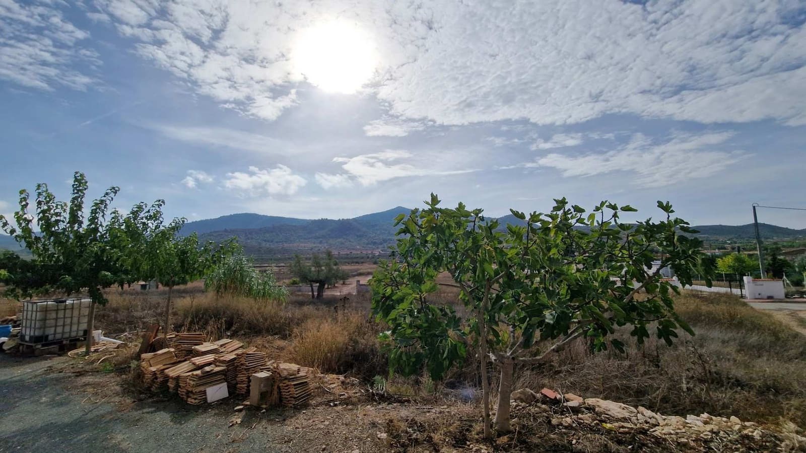 4 bedroom Finca/Country House for sale in Hondon de los Frailes - € 170,000 (Ref: 10155493)
