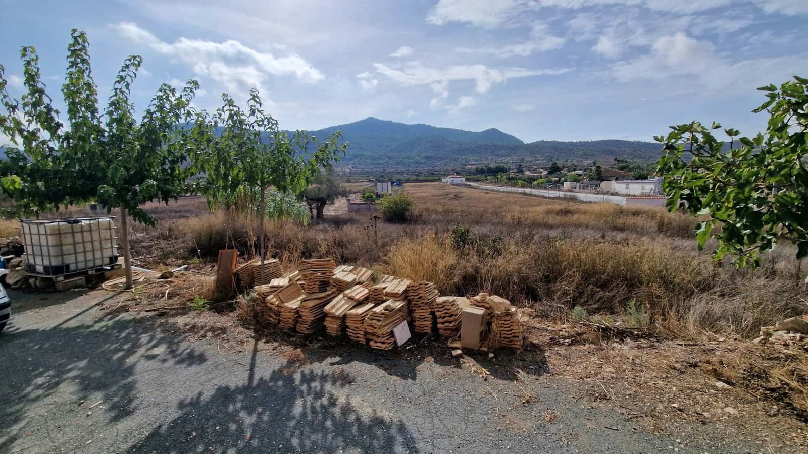 4 bedroom Finca/Country House for sale in Hondon de los Frailes - € 170,000 (Ref: 10155493)