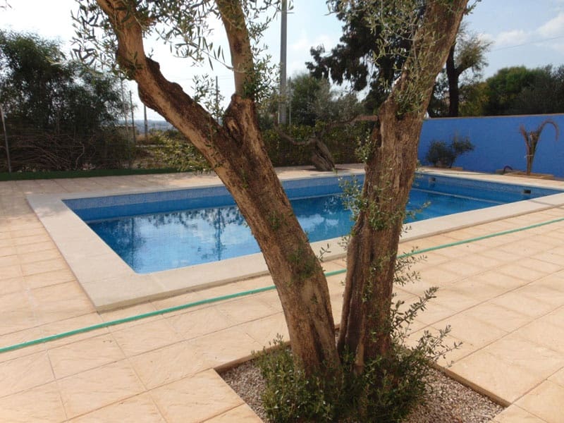 9 sovrum Villa till salu i Fortuna med pool - 340 000 € (Ref: 5821135)