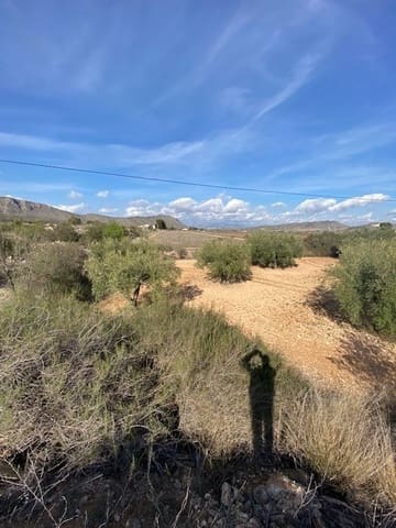 Undeveloped Land for sale in Hondón de las Nieves - € 67,500 (Ref: 6973856)