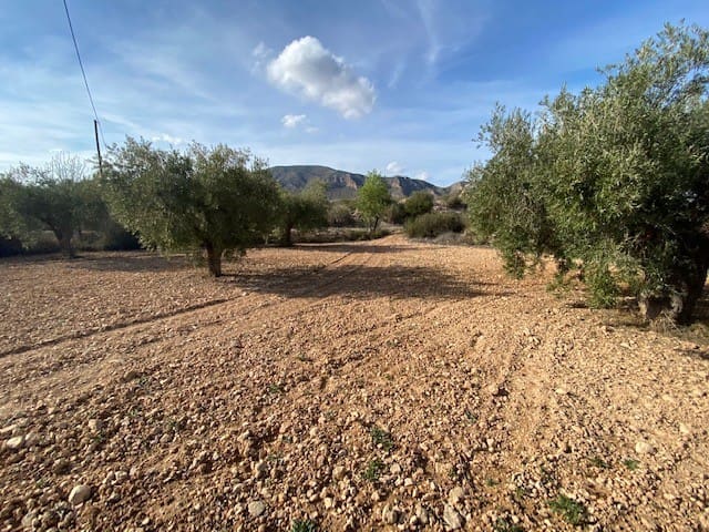 Undeveloped Land for sale in Hondón de las Nieves - € 67,500 (Ref: 6973856)