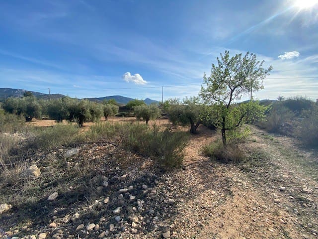 Grunde uden byggetilladelser til salg i Hondon de las Nieves - € 67.500 (Ref: 6973856)