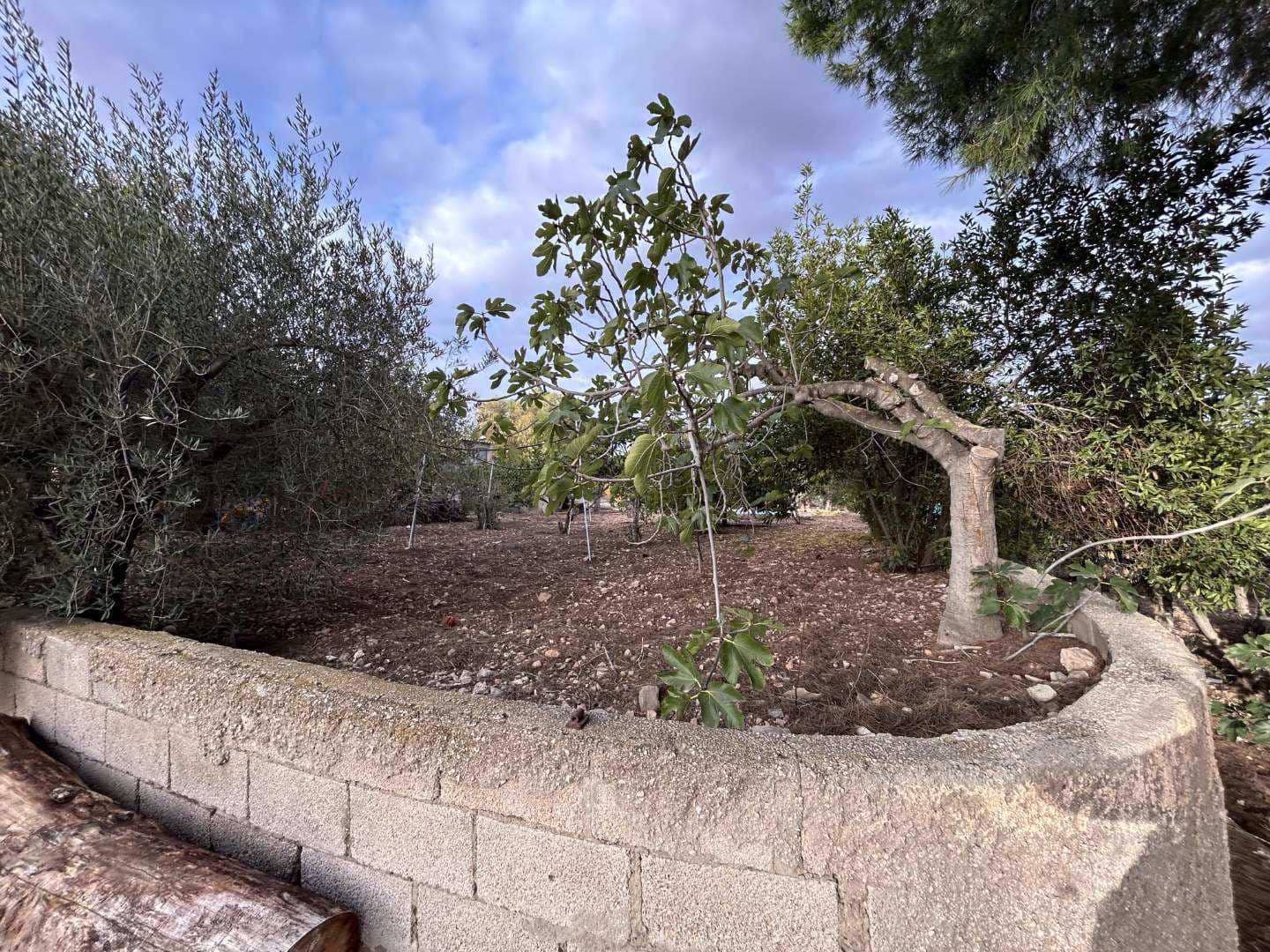 5 quarto Quinta/Casa Rural para venda em Alicante cidade com piscina - 280 000 € (Ref: 8664371)