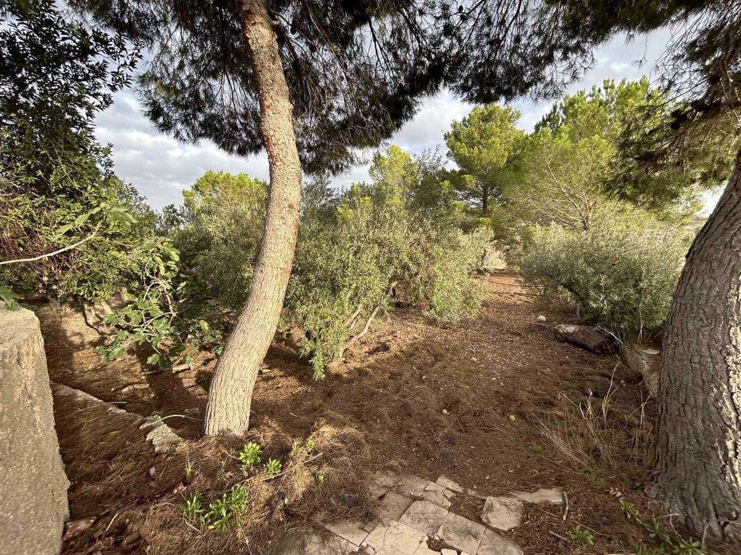 5 quarto Quinta/Casa Rural para venda em Alicante cidade com piscina - 280 000 € (Ref: 8664371)