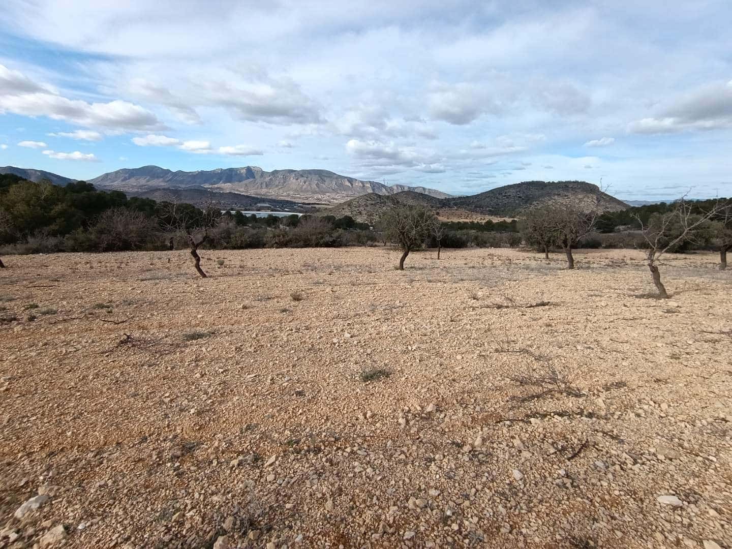 Byggegrund til salg i Hondon de las Nieves - € 44.950 (Ref: 9542185)