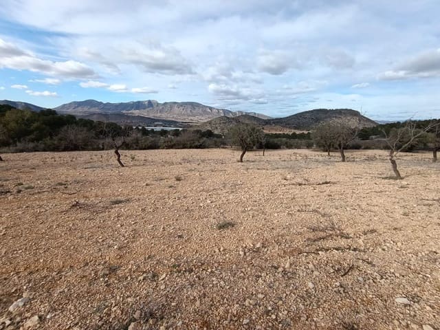 Byggegrund til salg i Hondón de las Nieves - € 44.950 (Ref: 9542185)