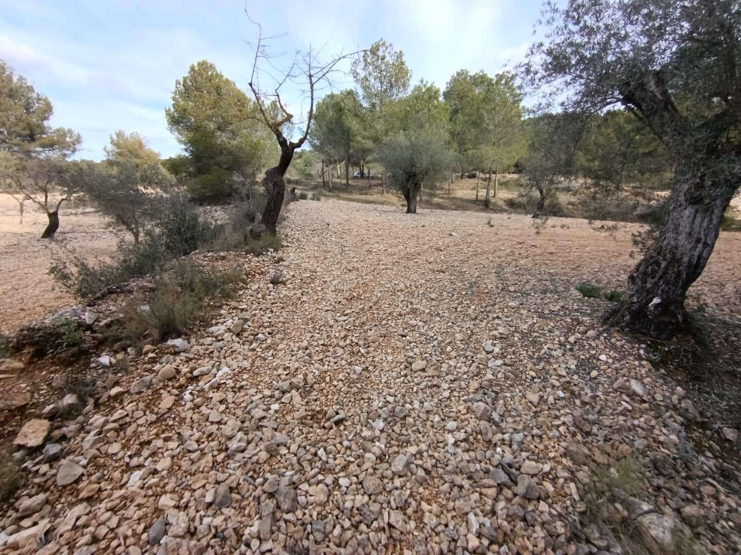 Byggegrund til salg i Hondon de las Nieves - € 44.950 (Ref: 9542185)