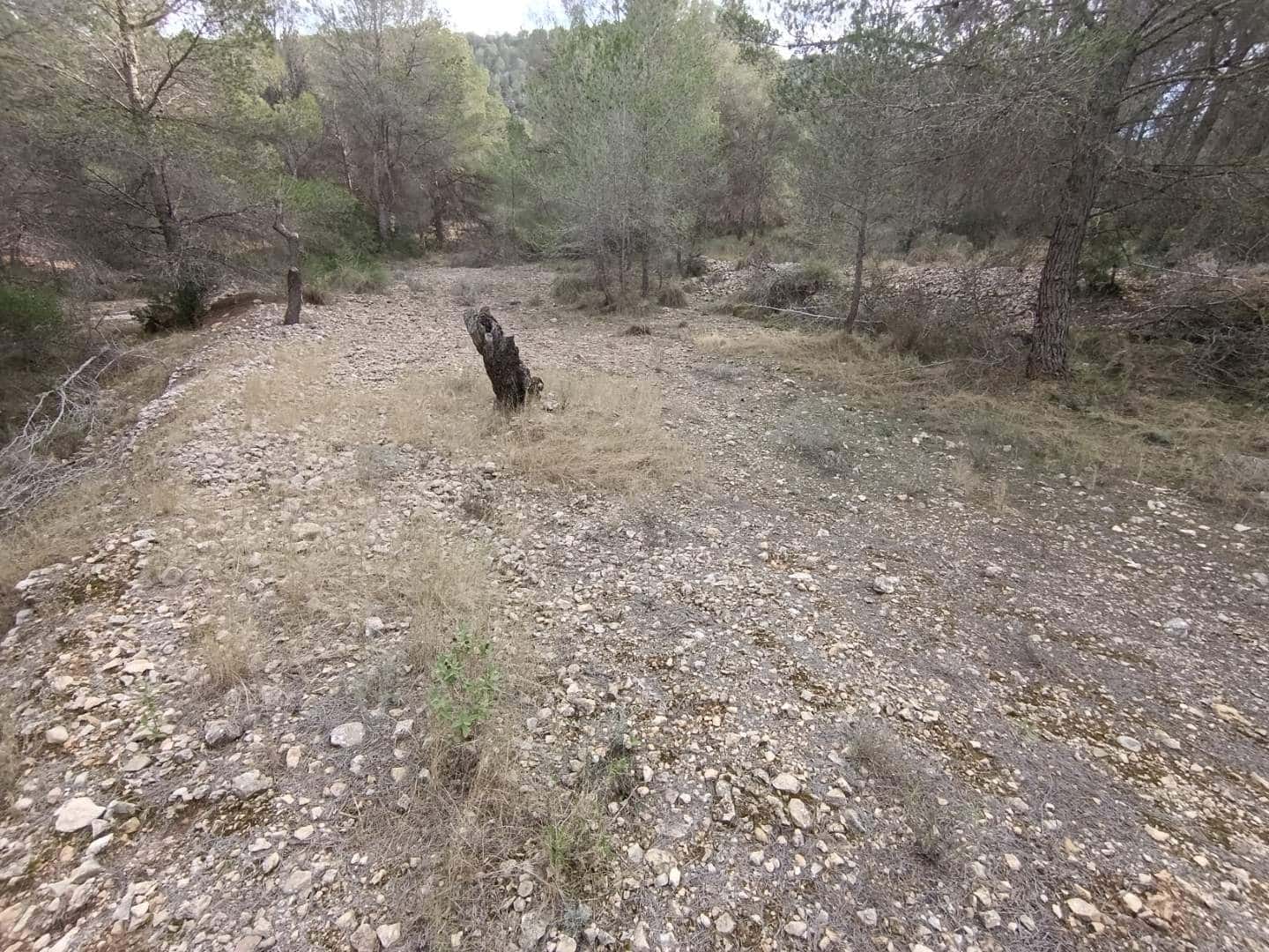 Byggegrund til salg i Hondon de las Nieves - € 44.950 (Ref: 9542185)