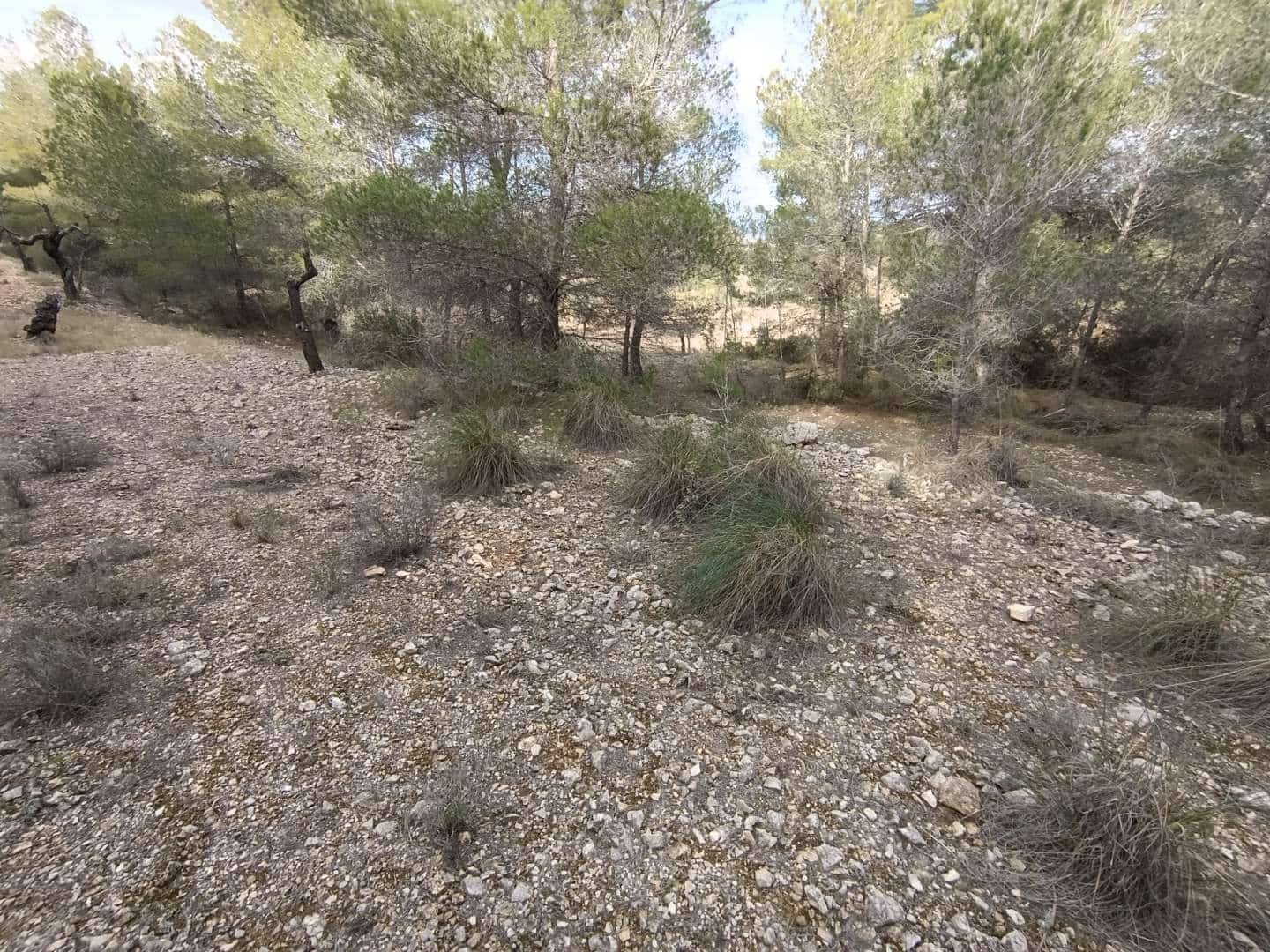 Byggegrund til salg i Hondon de las Nieves - € 44.950 (Ref: 9542185)