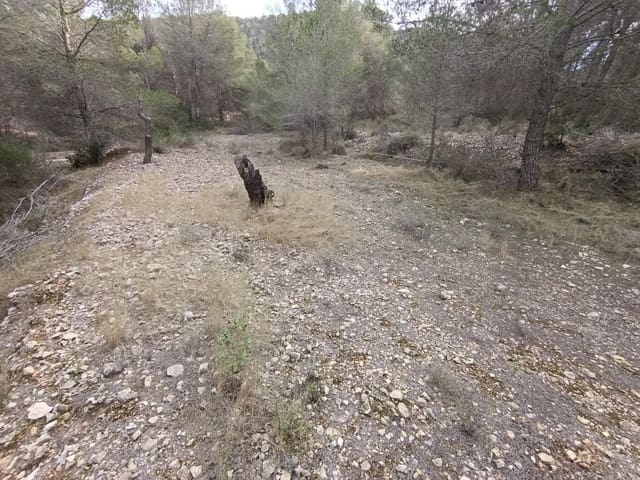 Byggegrund til salg i Hondón de las Nieves - € 44.950 (Ref: 9542185)