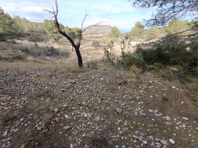 Byggegrund til salg i Hondón de las Nieves - € 44.950 (Ref: 9542185)