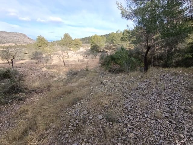 Byggegrund til salg i Hondón de las Nieves - € 44.950 (Ref: 9542185)