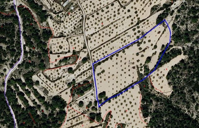 Byggegrund til salg i Hondón de las Nieves - € 44.950 (Ref: 9542185)