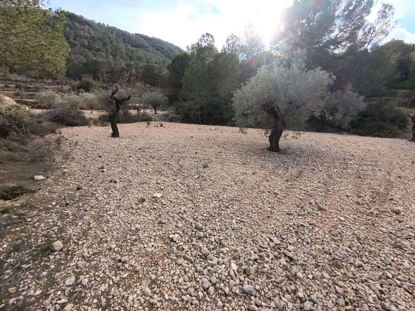 Byggegrund til salg i Hondon de las Nieves - € 44.950 (Ref: 9542185)