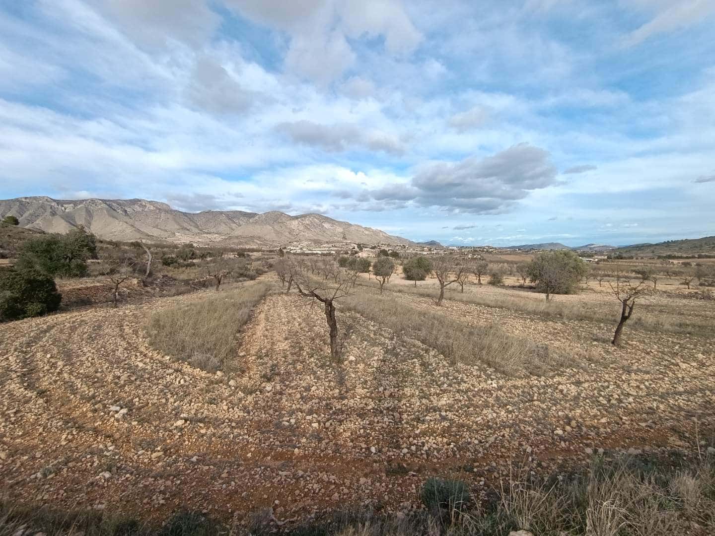 Building Plot for sale in La Canalosa - € 39,950 (Ref: 9542190)