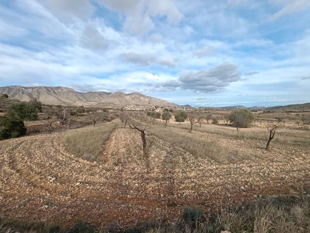 Building Plot for sale in La Canalosa, Hondón de las Nieves - € 39,950 (Ref: 9542190)