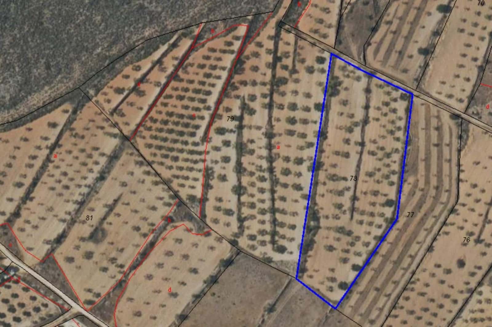 Building Plot for sale in La Canalosa - € 39,950 (Ref: 9542190)